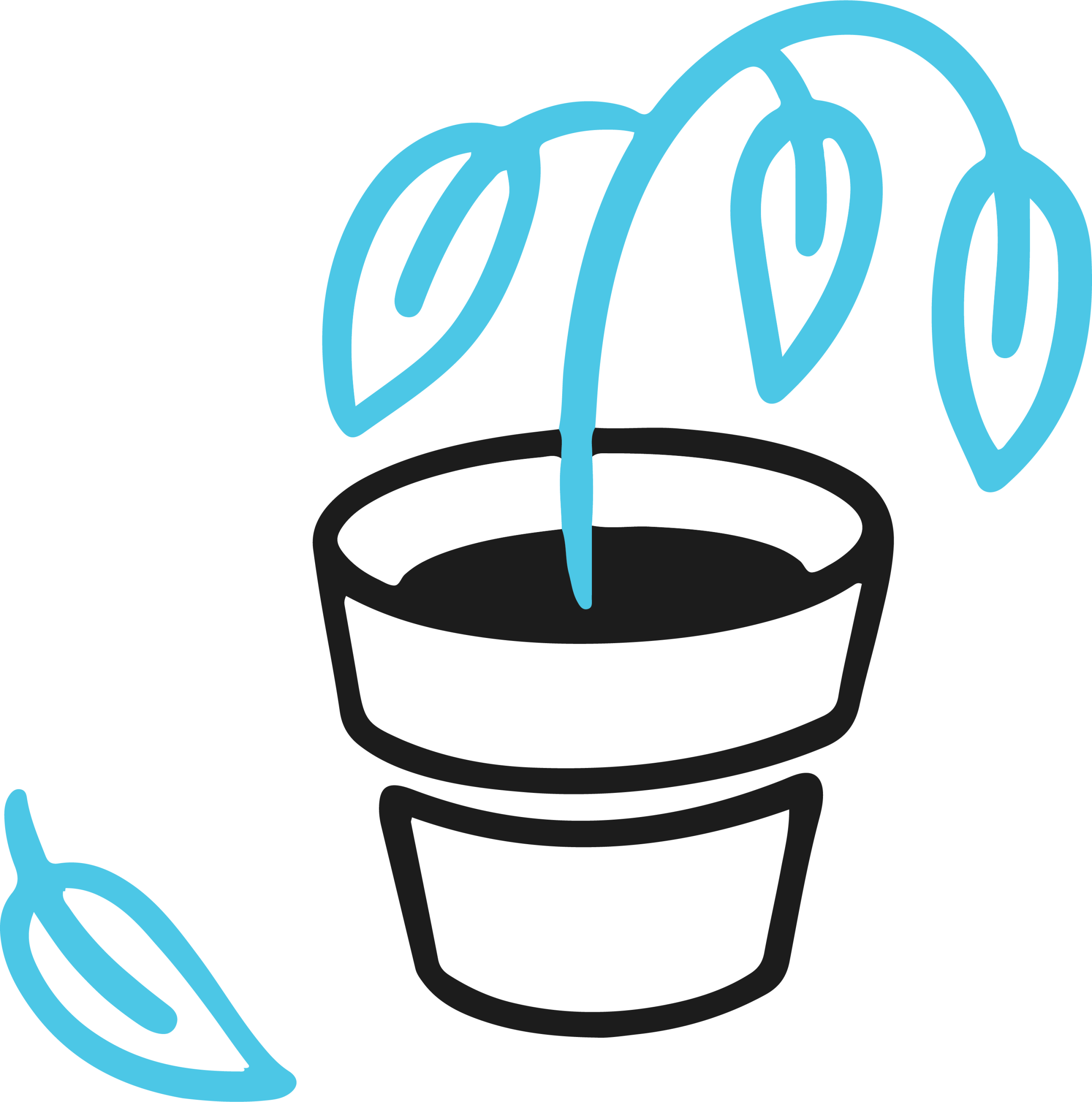 sad plant